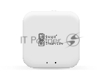 Wi-Fi конвертер управления светильниками для системы освещения GL1920 WH белый Wi-Fi TUYA/Smart Life