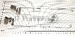 Петли для ноутбука Toshiba C870 C875 L870 L875 L875D