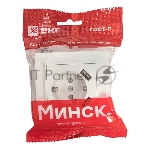 Розетка 1-местная СП с/з 16А белая с защ. штор. с 2 USB 2,1А EKF Минск