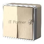 Выключатель двухклавишный Gallant (шампань рифленый) W5020010