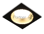 Светильник Ambrella light TN52340 SBK/SGD черный песок/золото песок GX53 max 12W 115*115*25