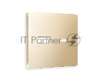 Лицевая панель ALFA (Шампань) для розетки 2USB тип A+C QUANT AP6110