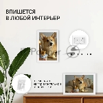 Фоторамка Digma 11" PF-1155 1280x800 белый пластик 16Gb Видео WiFi, вид 16