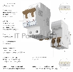 Автоматический выключатель Werkel 2P 32 A C 6 кА W902P326