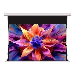 Экран для проектора S'OK SCPSMT-332x186FG-ED30 150 " 16:9 настенно-потолочный, моторизованный с боковым натяжением, белый, ED30 см