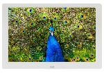 Фоторамка Digma 10.1" PF-1043 IPS 1280x800 белый пластик ПДУ Видео, вид 2