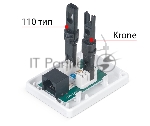 Розетка в сборе Cabeus, 1x RJ45(8P8C), кат. 6, неэкр., внешняя, белый, (WS-8P8C-Cat.6-1)