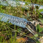 Шланг поливочный Palisad прозрачный армированный 3-х слойный, 3/4", 50 м, вид 3