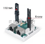 Розетка в сборе Cabeus, 2x RJ45(8P8C), кат. 5е, экр., внешняя, белый, (WS-8P8C-Cat.5e-SH-2)