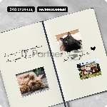 Блокнот Moleskine CLASSIC QP062B20 Large 130х210 мм, 240 страниц, нелинованный, твердая обложка, синий сапфир, вид 8