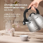 Чайник металлический Rondell Zart RDS-1828 2.7л. стальной, вид 18